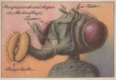 Testa di mosca, 1929