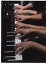 pianiste all'opera mani.JPG