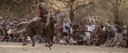 mutina boica cavaliere celtico.jpg