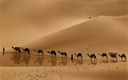Strade, carovana nel deserto.jpg