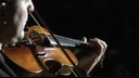 matteo fedeli uno stradivari per il duomo di modena.jpg