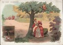 IL NANO GIALLO, 1907