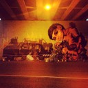 Ericailcane e Bastardillia cialdini.JPG