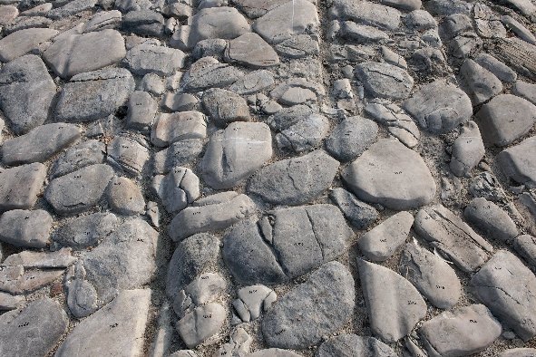 strada romana augustea al NoviArk.jpg