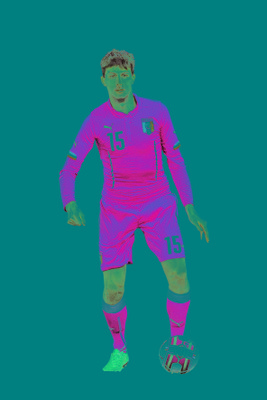 partita stella 2014 Acerbi.jpg