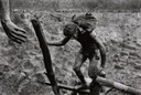IMG_7902 salgado s 499.jpg