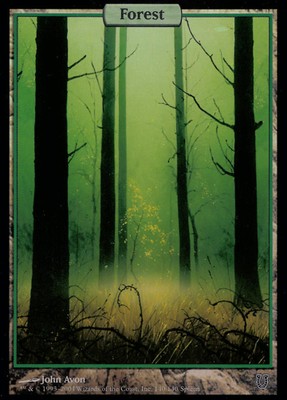 magic l'adunanza.jpg