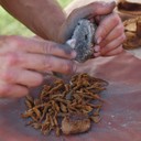 accensione fuoco con la selce.jpg