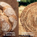 Depliant InfoDay