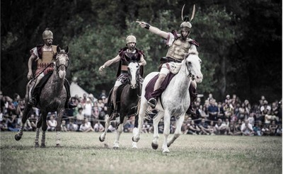 mutina boica cavalieri.jpg
