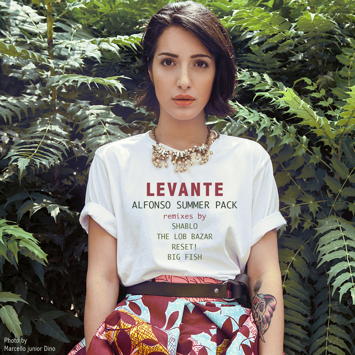 Levante (foto Marcello junior Dino).jpg