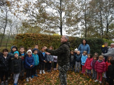 Liberazione pettirossi - 2