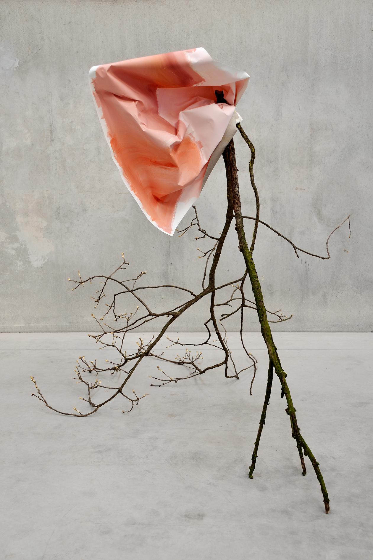 Laura Renna, Queen Alexandra (2014)