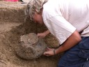 scavi archeologici terramare casinalbo.JPG