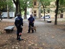 Controlli antidegrado con ausilio di Axel