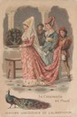 01_pavone_storia aneddotica.jpg