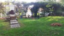 Pulizia parco Rimembranze 4