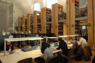 biblioteca delfini su e giù