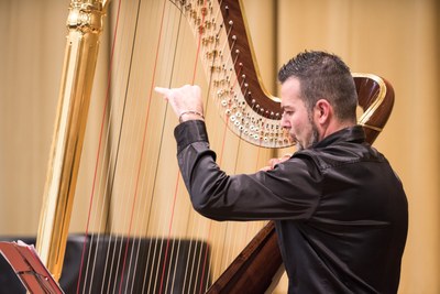 DAVIDE BURANI ARPA ARPISTA.jpg