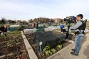 Linea Verde orti urbani 2.JPG
