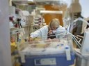 caritas baby hospital betlemme foto ottani.JPG