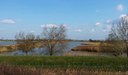 Oasi di Manzolino.jpg