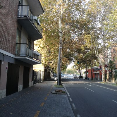 Via Cucchiari