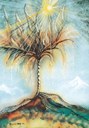 l'albero.jpg