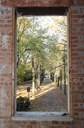 La vista del viale di accesso a Villa Ombrosa da via Vaciglio nord