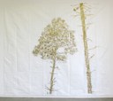 Stefano Arienti, Studi per Fra gli alberi, 2015, inchiostro oro su telo antipolvere, 290 x 350 cm ciascuno, courtesy Fondazione Kartellmuseo.jpg