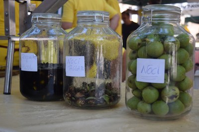 www.ilmatraccio.it per fare il nocino.jpg