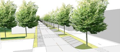 Nel disegno via del Mercato con pista ciclabile