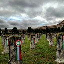 Le coccarde sui ceppi a San Cataldo 2