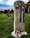 Le coccarde sui ceppi a San Cataldo
