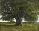 Gustave Courbet, La quercia di Flagey, 1864.jpg