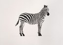Dialmo Ferrari, Zebra Domestica, 1971-2018, Tempera su muro.jpg