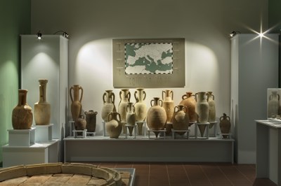 mutina splendidissima anfore.jpg
