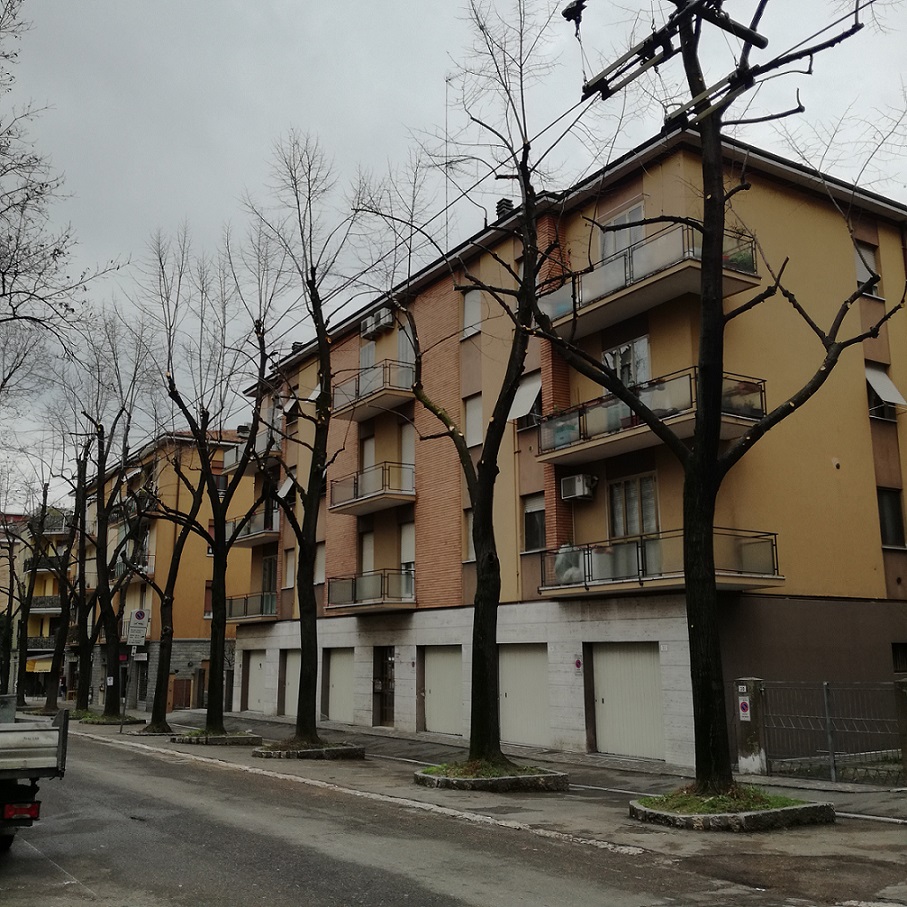 Potature viale Gramsci, alcuni degli alberi potati