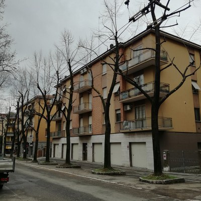 Potature viale Gramsci, alcuni degli alberi potati