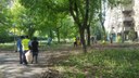 Pulizie al parco di via Newton