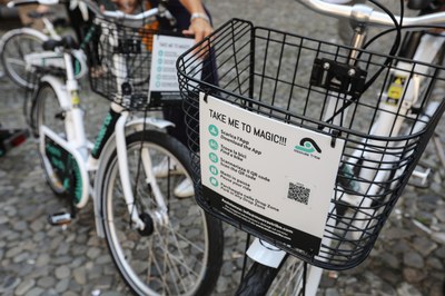 Le bici Moovas Tribe