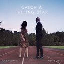 ricciardi_lussu_falling star.jpg