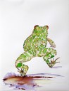 Segni di natura 1