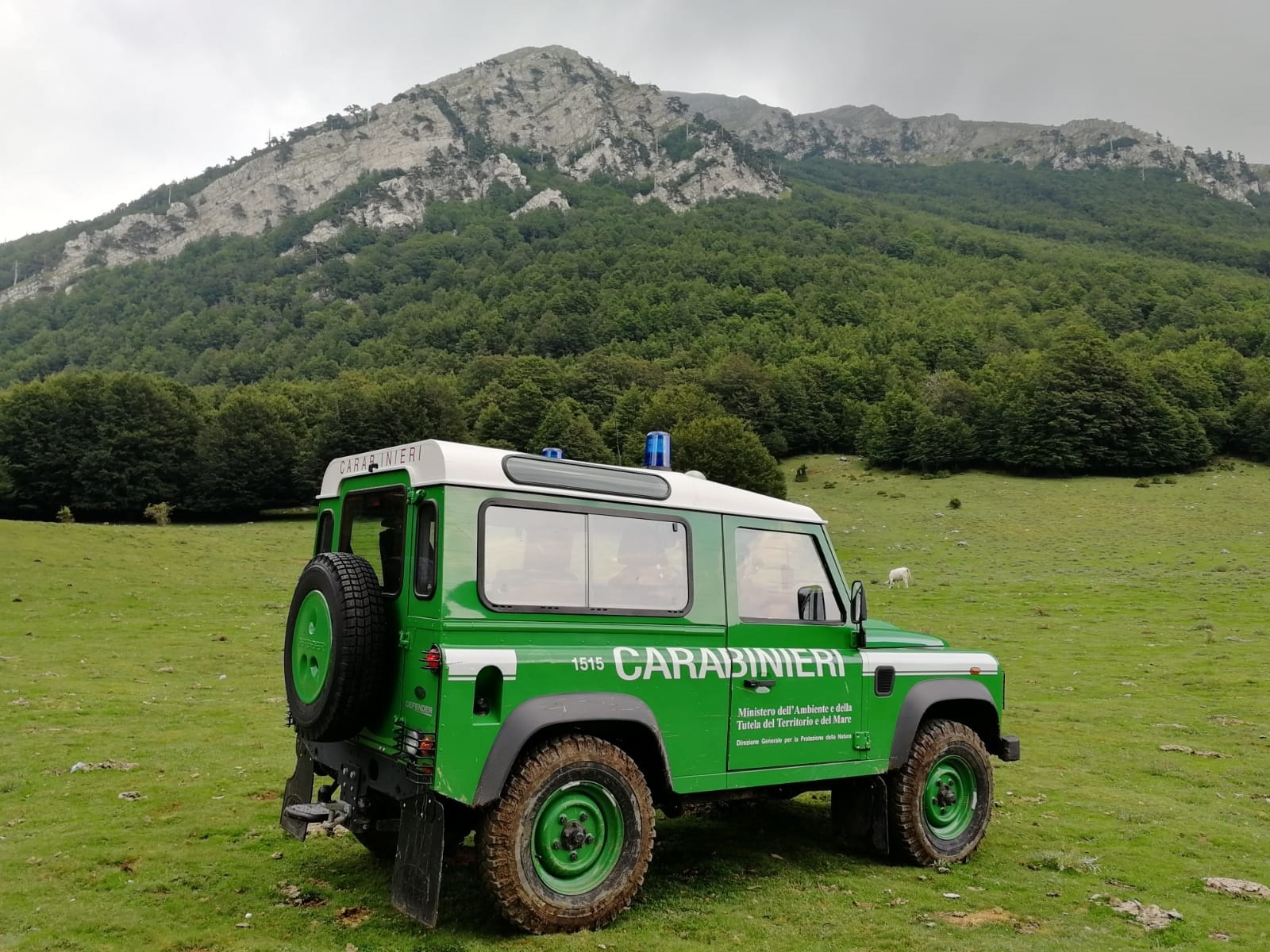 Carabinieri forestali.jpg