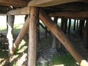 Particolare dei pali sottostanti la capanna della Terramara di Montale.jpg