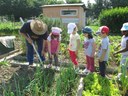 I bimbi con un nonno volontario agli orti