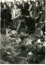 eccidio FONDERIE 9 gennaio 1950 fiori.jpg