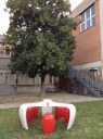 Interventi di riqualificazione giardini scolastici