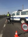 Controlli stradali