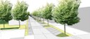 Disegno di via Del Mercato con pista ciclabile